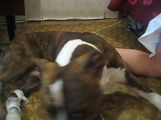 Porno De Humano Y Animal