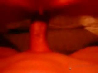 Porno Animal Xx